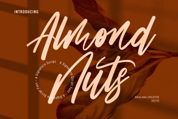 Almond Nuts Script Font for Handmade Creators