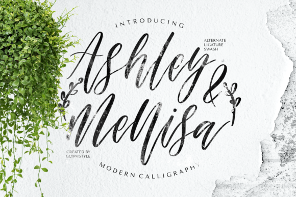 Ashley Mellisa Script Font for Elegant Campaign Typography