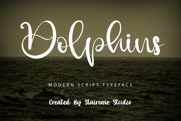 Dolphins Script Font for Modern Branding