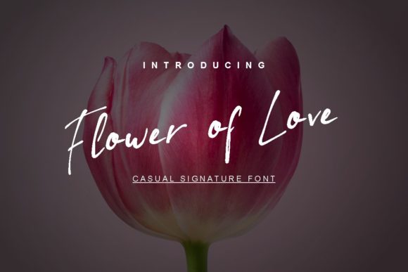 Flower of Love Script Font for Playful Branding