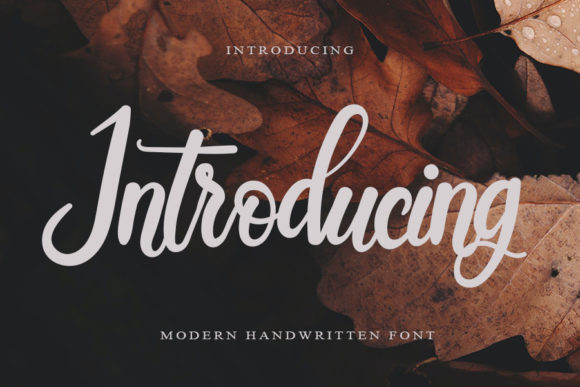 Introducing: A Premium Script Handwritten Font for Professional Branding