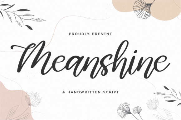 Meanshine Script Font for Scroll-Stopping Visual Campaigns