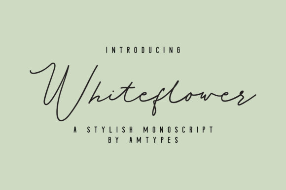 Whiteflower: A Delicate Script Handwritten Font for Elegant Design